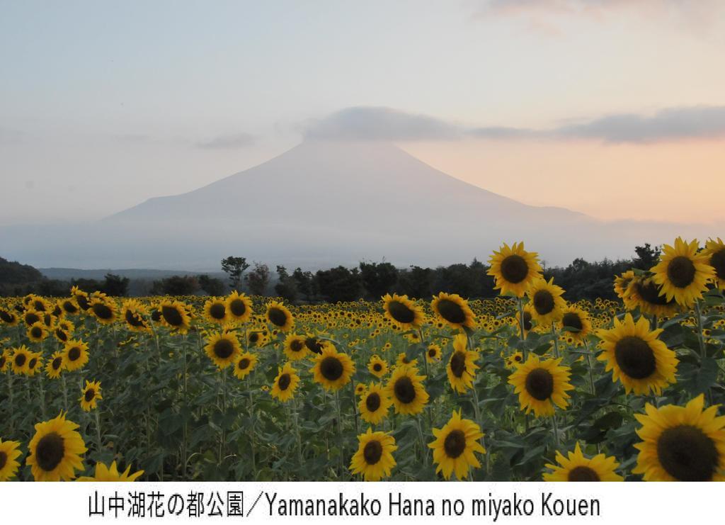 Pension Country Diary 山中湖村 外观 照片